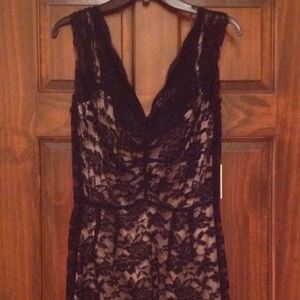 Calvin Klein Lace Dress